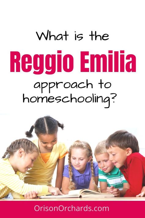 Teaching Styles, Reggio Emilia Classroom, Reggio Emilia Approach, Infant Lesson Plans, Reggio Inspired Classrooms, Reggio Emilia Inspired, Family Day Care, Early Years Educator, Homeschool Encouragement