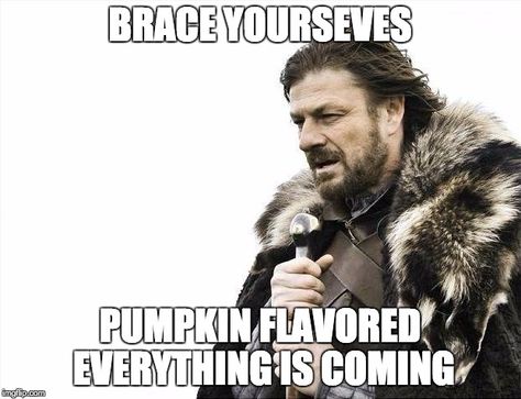 Brace Yourselves... Vacation Meme, Monday Memes, Happy Birthday Meme, Brace Yourself, Travel Humor, Before Midnight, Birthday Meme, Memes Humor, Winter Is Coming