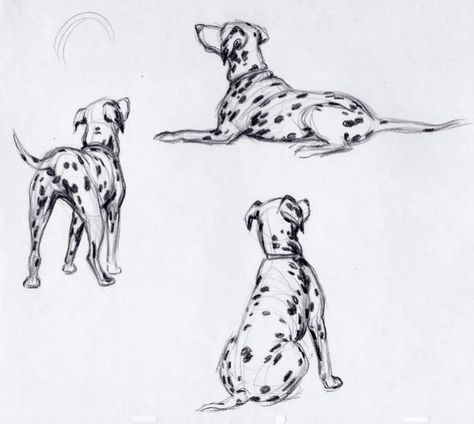 Different Drawing Styles, Up Animation, Classic Disney Characters, Canine Art, Dalmatian Dogs, Walt Disney Animation, Walt Disney Animation Studios, Animal Sketches, Dog Drawing