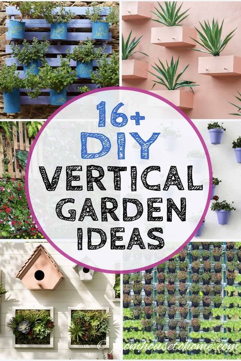 DIY Vertical Garden Ideas (For More Growing Space In Small Gardens) Ideas For Small Gardens, Diy Vertical Garden, Garden Puns, Vertical Pallet Garden, Vertical Garden Ideas, Vertical Succulent Gardens, Vertical Garden Design, Grow Herbs, Vertical Vegetable Garden