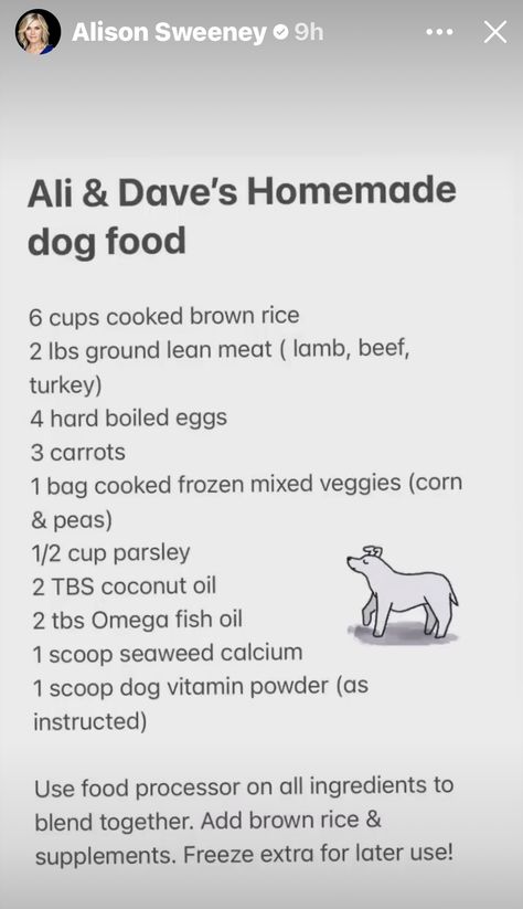 All Natural Dog Food Recipes, Cheap Dog Food Recipes, Balanced Dog Food Recipe, Diy Dog Food Recipe For Large Dogs, Dog Food Recipes Crockpot, Foods Dogs Can Eat, Pet Treats Recipes, Easy Dog Treat Recipes, Diy Dog Food