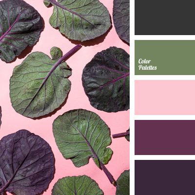 Eggplant Color Scheme, Eggplant Color Palette, In Color Balance, Purple Pages, Purple Palette, Color Palette Ideas, Wall Living Room, Color Palette Challenge, House Color Palettes