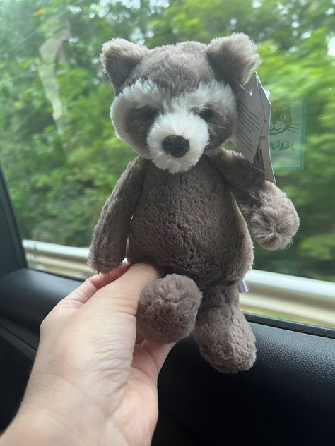 Raccoon Jellycat, Jellycat Raccoon, Aesthetic Raccoon, Plushie Aesthetic, Stuffed Raccoon, Jellycat Aesthetic, Raccoon Stuffed Animal, Jellycat Stuffed Animals, Jelly Cat