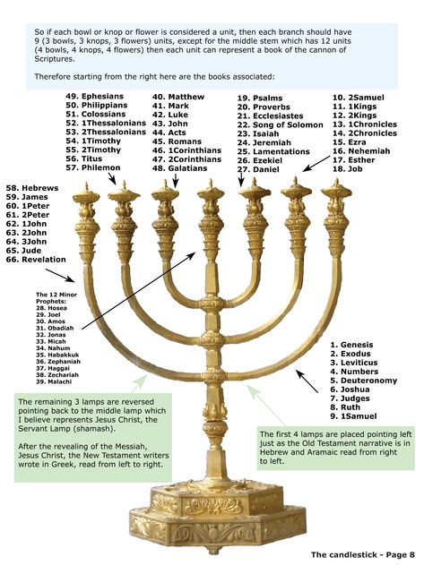 Here's a probable analysis of how the Hebrew Alphabet works with the Menorah the 7 branched candlestick. Thyatira the 4th and middle church, for example would be well associated to the middle lamp the Shemash the servant lamp covering the middle and dark ages (9th-14th centuries AD) during the Crusades. The middle letters of the Hebrew Alphabet spell out MeLeChI (meaning "my king"). Menorah Meaning, 7 Branch Menorah, Revelation Bible Study, Biblical Prophecy, Woord Van God, Revelation Bible, Hebrew Lessons, Biblical Hebrew, Hebrew Alphabet