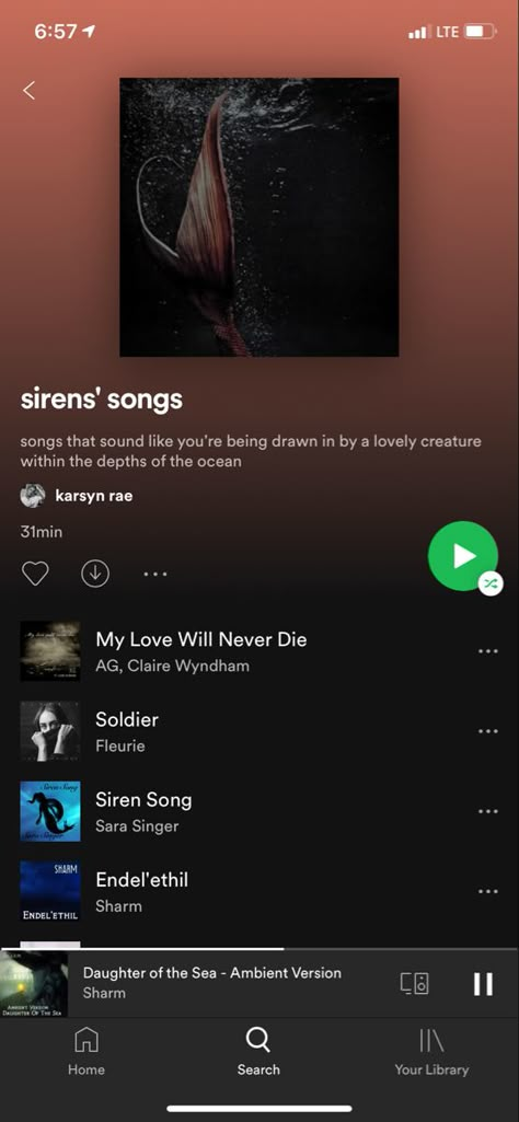 Siren Playlist, Aesthetic Playlists Spotify, Pirate Playlist, Mermaid Playlist, Royal Playlist, Pirate Music, Pirate Songs, Playlist Names Ideas, Therapy Playlist