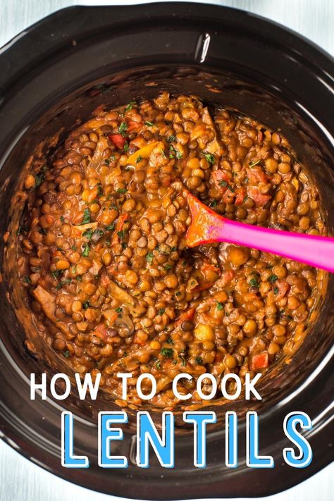 How to cook lentils - Lentils are a fantastic ingredient. They're cheap, tasty, and super versatile. Here's how to cook lentils, in 3 easy steps! #lentils #howto Best Way To Cook Lentils, Crock Pot Lentils, Easy Lentil Crockpot Recipes, How To Cook Lentils In Crockpot, Canning Lentils, Making Lentils, Cook Lentils How To, Cooking Lentils How To, How To Cook Lentils On The Stove