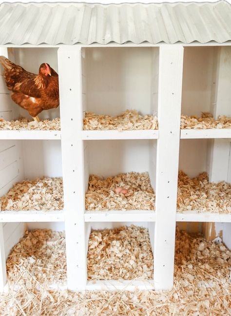 Cute Chicken Coops, Chicken Coop Garden, Chicken Shed, Chicken Barn, Backyard Chicken Coop Plans, Chicken Nesting Boxes, Diy Chicken Coop Plans, Chicken Coop Run, Backyard Chicken Farming