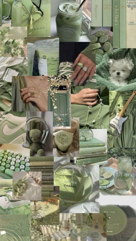 Mint Green Aesthetic Collage, Wallpapers Aesthetic Sage Green, Sage Green And Cream Aesthetic, August Wallpaper Aesthetic Iphone, Sage Green Asthetics Photos, Sage Green Things, Green Wallpaper Aesthetic Iphone, Aesthetic Wallpaper Sage Green, Green Colour Wallpaper