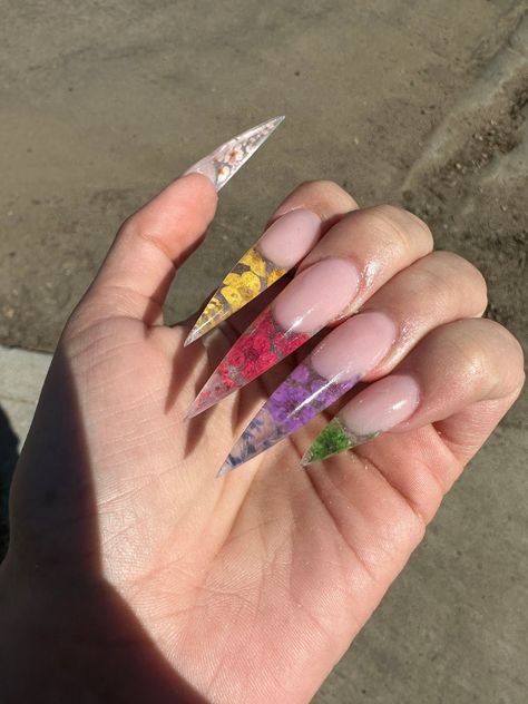 Long clear acrylics stiletto nails with a nude base. Using real flowers Clear Flowers Nails, Acrylic Stiletto Nails, Nails 23, Flowers Nails, Spring Flower, Stiletto Nails, Flower Nails, Nude Nails, Real Flowers