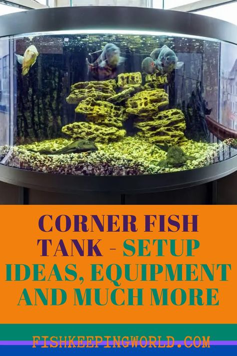 If you’re in the market for an aquarium, Fish Keeping World says, check out a corner fish tank instead. This less than common shape offers a lot of appeal for how you view your fish in their marine environment. They are smaller and that means they take up less space. We have compiled a checklist of equipment you will need to buy when you choose to purchase your corner aquarium. Find out which fish will thrive in this new tank as well. Read more. #cornerfishtank #corneraquarium #cornertankforfish Corner Aquarium Ideas, Corner Fish Tank, Corner Aquarium, Fish Keeping, Tropical Freshwater Fish, Fishing For Beginners, Aquarium Filter, Well Read, Setup Ideas