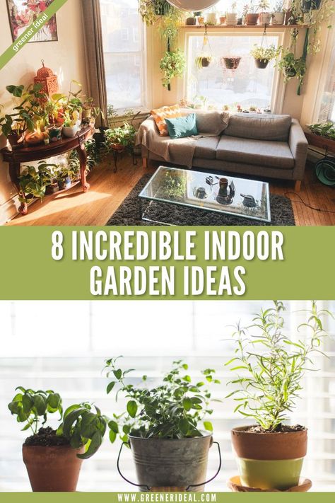 Growing plants indoors is an excellent way to bring a touch of nature into your home. But if you’re limited on space or don’t have a lot of natural light, it can be tricky to know how to set up an indoor garden that will thrive. There are plenty of ways to get creative with your indoor gardening. We’ve rounded up ten of the best ideas to get you started. #gardening #gardeningtips #indoorgarden #smallgarden #indoorgardening Indoor Gardening Ideas, Vertical Herb Garden, Organic Vegetable Garden, Growing Plants Indoors, Garden Guide, Indoor Gardening, Food Garden, Indoor Garden Ideas, Growing Herbs