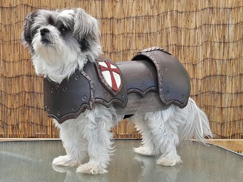 Dog Armor, Chihuahua Sweater, Dnd Oc, Diy Props, Small Dog Sweaters, Pattern Template, Pet Sweater, Costume Patterns, Cosplay Diy