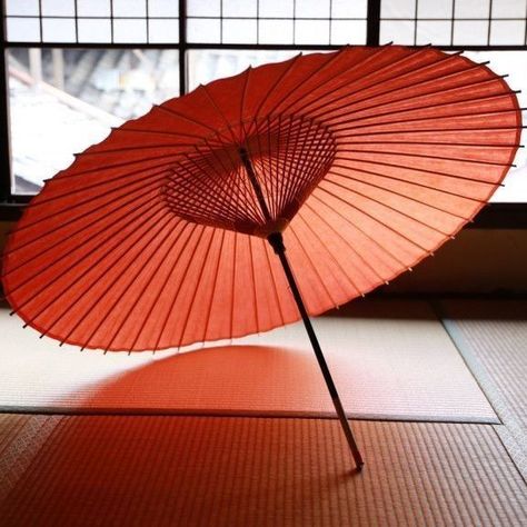 Asian Umbrella, Chinese Umbrella, Paper Parasol, Sun Parasol, Japanese Umbrella, Aesthetic Objects, Chinese Aesthetic, Chinese Pattern, X Male Reader