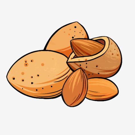 Nut Illustration, Scrapbook Letters, Cartoon Food, Clip Art Pictures, Food Cartoon, Food Clipart, Food Png, Food Illustration Art, Cartoon Clipart