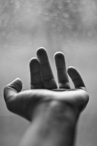 . Louise Bourgeois, Hand Reference, Open Hands, Hold My Hand, Foto Art, Black And White Photography, White Photography, Photography Inspiration, Anatomy