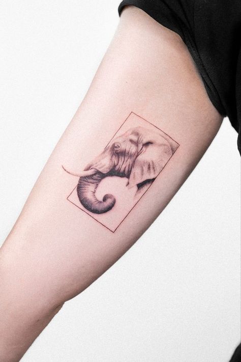 Arm Elephant Tattoo, Indian Elephant Tattoo, Realistic Elephant Tattoo, Elephant Head Tattoo, Baby Elephant Tattoo, Realistic Tattoo Sleeve, Finger Tattoo For Women, Leg Tattoo Men, Elephant Tattoo