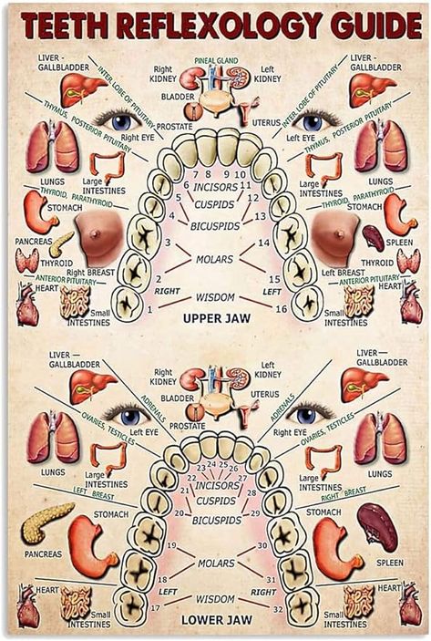 Amazon.com: IEFSCAY Teeth Reflexology Guide Knowledge Art Poster Wall Painting Waterproof Canvas HD Wall Art Frameless for Bedroom Living Room Office Ready to Hang (8x12Inch): Posters & Prints Teeth Reflexology, Reflexology, Posters Prints, Living Room Office, Room Office, Bedroom Living Room, Art Poster, Poster Wall, Wall Painting