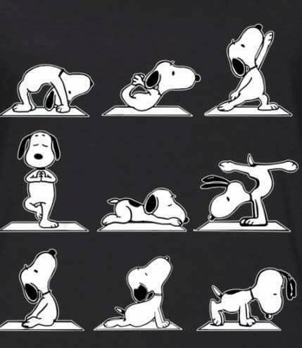 Zen/Yoga Snoopy 😌 Snoopy Yoga, Peanut Gang, Snoopy Funny, Peanuts Cartoon, Snoopy Images, Snoopy Quotes, Zen Yoga, Snoopy Pictures, Snoop Dog