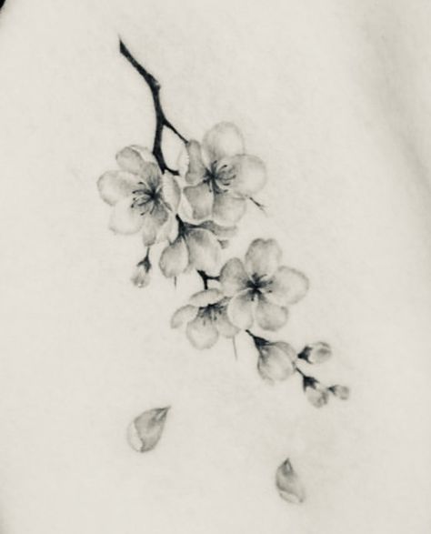 Cherry Blossom Tattoos Black And White, Cherry Blossom Wrist Tattoo Black And White, Black And White Sakura Tattoo, Chinese Flower Tattoo Blossoms, Weeping Cherry Tree Tattoo, Black And Grey Cherry Blossom Tattoo, Sakura Tattoo Black And White, Black And White Cherry Blossom Tattoo, Sakura Flower Tattoo Design