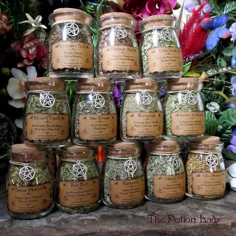 Set of Witch's Herbs Jars Sacred Herbs Wiccan by ThePotionLady Herb Jars, Herb Witch, Witch Herb Storage, Herbs For Witchcraft Aesthetic, Herb Jars Witchcraft, Herb Bottles Aesthetic, Spell Jar Herb Meanings, Witchcraft Herbs, Herb Jar