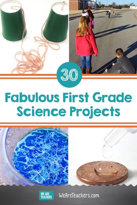 30 Fabulous First Grade Science Experiments and Projects To Try 1st Grade Science Fair, 4th Grade Science Experiments, First Grade Science Projects, 5th Grade Science Projects, Homeschool Science Experiments, 1st Grade Activities, 1st Grade Science, First Grade Science, 4th Grade Science