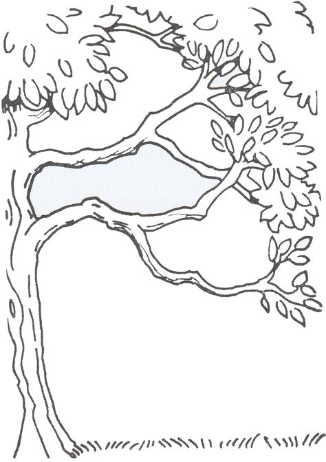 tree Drawn Trees Drawings, Outline Tree Drawing, The Giving Tree Drawing, Side Tree Drawing, Half Tree Drawing, Fall Trees Drawing, Tree Background Drawing, Tree Sketches Simple, Cute Tree Drawing