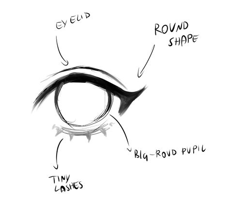 Round Eye Drawing Reference, Anime Eye Shapes Reference, How To Draw Round Eyes, Wink Reference Drawing, Round Anime Eyes, How To Draw Aegyo Sal, Round Eyes Drawing, Soft Eyes Drawing, How To Draw Lashes