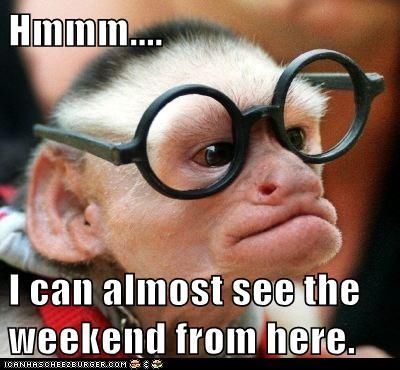 I can almost see the weekend weekend friday days of the week thursday weekend quotes happy weekend Funny Monkey Pictures, Monkey Memes, Jw Humor, Monkey See Monkey Do, Monkey Wallpaper, Funny Monkey, Monkey Pictures, Monkey Face, Weekend Humor