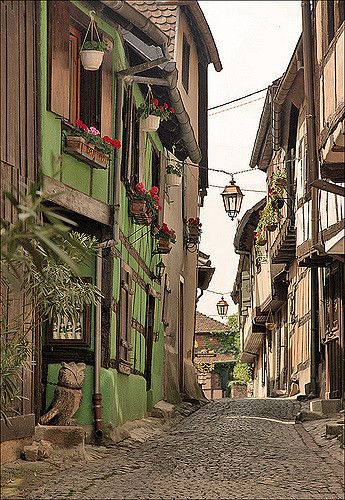 Cobblestone Street, Famous Castles, Alsace France, France Photos, Beaux Villages, Window Boxes, Medieval Town, Jolie Photo, Old Buildings