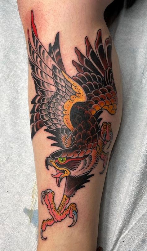 Hawk Tattoo Men Forearm, Hawk And Snake Tattoo, Neo Traditional Hawk Tattoo, Traditional Pheasant Tattoo, Falconry Tattoo, American Traditional Hawk Tattoo, Traditional Falcon Tattoo, Hawk Tattoo Traditional, Japanese Hawk Tattoo