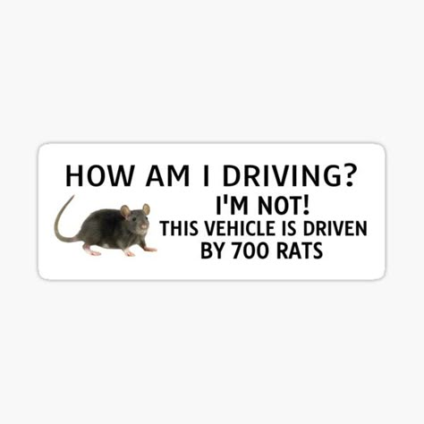 Cursed Clothes, Bumper Stickers Aesthetic, Rats Funny, Funny Car Magnets, Funny Car Bumper Stickers, Cool Car Stickers, Car Deco, Funny Bumper Stickers, Cute Car Accessories