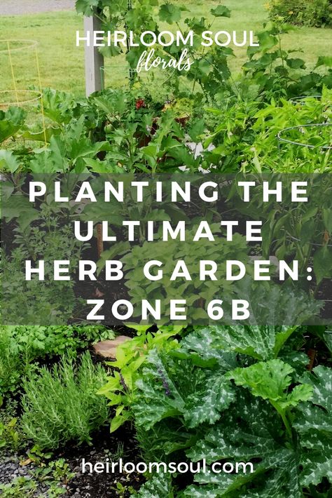 When To Plant Herbs, Herb Planting, Zone 6 Plants, Herbs To Plant, How To Grow Herbs, Easy Herbs To Grow, Planting Calendar, Herb Garden Design, Gardening Zones