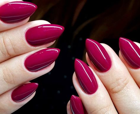 ‘Viva Magenta’ The Pantone Color Of The Year 2023 - ShaadiWish Nail Polish 2023, Raspberry Nails, Cricut Nails, Nails Nexgen, 5sos Nails, Balarina Nails, Scarecrow Nails, Nextgen Nails, Magenta Nails