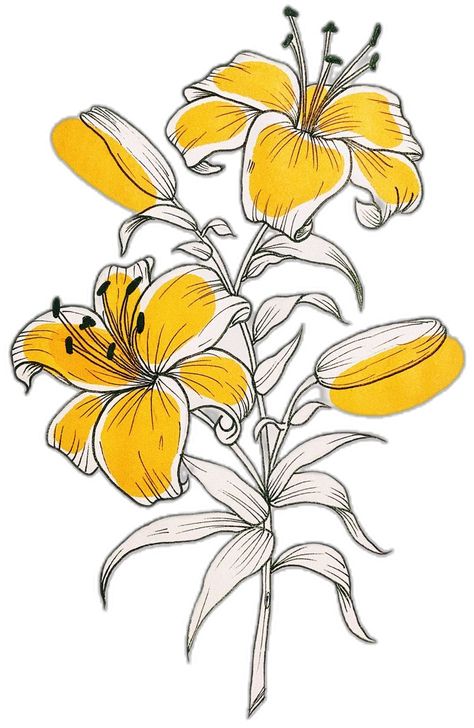 Yellow Flowers Drawing, Stencils Art, Inspo Drawing, Floral Art Design, Flower Art Drawing, Tattoo Stencil Outline, Phoenix Tattoo, Art Things, Mini Drawings