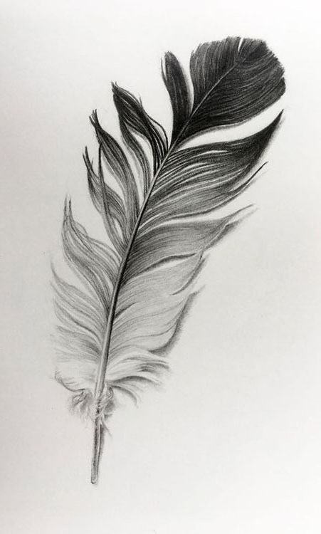 Feather Ink Pen Tattoo, Large Feather Tattoo, Feather Animal Tattoo, Dark Feather Tattoo, Feather Drawing Biro, Trap Tattoos For Women, Eagle Tattoos, Feather Wall Art, Indian Tattoo