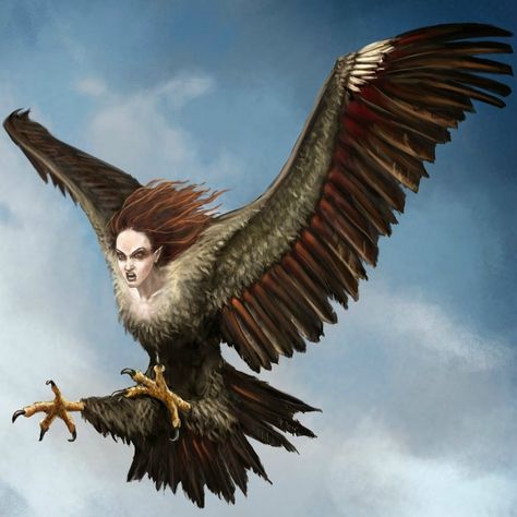 harpy_by_seraph777-d7b3lou Monsters Mythology, Greek Creatures, Greek Monsters, Female Monster, Arte Alien, Dnd Monsters, Mythology Art, The Revenant, Mystical Creatures