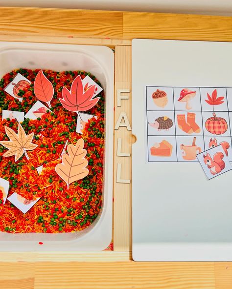 This fall/autumn sensory bin was an absolute joy to put together! 🍂 If you’re looking for the matching flashcards to go along with it, just comment ‘fall’ below and I’ll send you the link!✨ #playgroup #earlylearning #sensoryplay #sensorybin #sensoryactivity #sensoryplayideas #flisattable #ikeaplayroom #autumn #fallseason #toddler #toddleractivities #homeschoolpreschool #preschoolactivities #preschool #prekinder #fallsensorybin Fall Sensory Bins Preschool, Preschool Sensory Bins Fall, Fall Theme Activities For Infants, Fall Water Table Ideas Preschool, Mini Sensory Bins, Name Sensory Bin, Fall Sensory Bin Toddlers, Fall Sensory Tables For Preschool, Leaves Sensory Bin