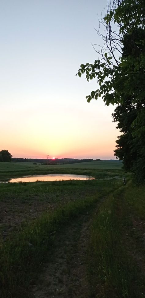 Beautiful sunset in countryside, forest in Poland. Lato Aesthetic, Poland Countryside, Poland Aesthetics, Sunset Countryside, Poland Summer, Poland Aesthetic, Country Nature, Europe Summer, Spring Aesthetic