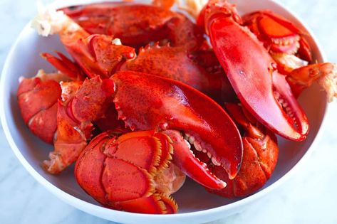 How To Cook Lobster Claws - Recipes.net Lobster Claws Recipe, Lobster Claws How To Cook, Lobster Claw Recipe, How Do You Cook Lobster Tail, Lobster Claw, Cook Frozen Lobster Tail, How To Cook Live Lobster At Home, How To Prepare Lobster, Prepare Lobster Tail