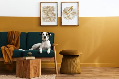 Half Painted Walls, Two Tone Walls, Mustard Walls, Two Tone Paint, Room Wall Painting, Yellow Walls, Interior Trend, Living Room Paint, Room Paint