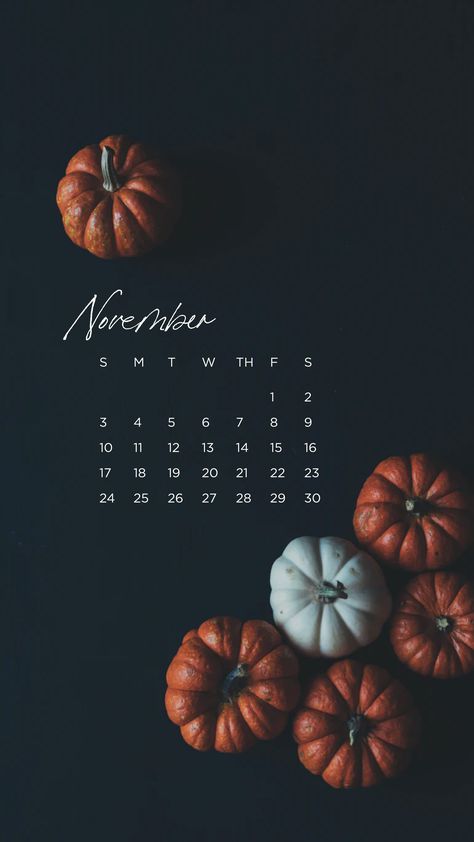 Enjoy this #design #freebie for #november Funny November Wallpaper, Calendar November 2024, November Calendar 2024, November Phone Wallpaper, November Wallpaper Iphone, Phone Wallpaper Dark, November Wallpaper, November Calendar, Autumn Wallpaper