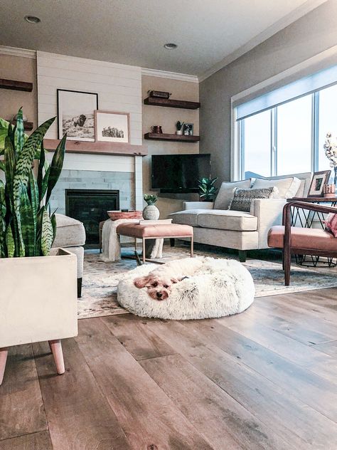 Dog Bed In Living Room, Living Room Decor Scandinavian, Neutral Dog Bed, Decorative Dog Bed, Room Decor Scandinavian, Neutral Room Decor, Bed For Living Room, Mudroom Decor, Neutral Room