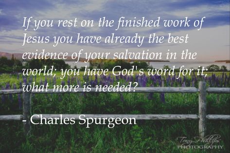 Godly Womanhood, Assurance Of Salvation, Charles Spurgeon Quotes, Spurgeon Quotes, Reformed Theology, Soli Deo Gloria, Charles Spurgeon, Verses Quotes, Christian Quotes