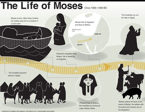 Life of Moses | Exod 1-2:23 #exodus Moses Timeline, Bible Study Exodus, Bible Infographics, Life Of Moses, Moses Exodus, Exodus Bible, Quick View Bible, Bible Timeline, Free Games For Kids