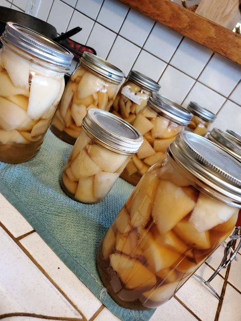 The Old-Fashioned Things | American Flavor Latin Spice Canned Pears In Light Syrup, Kieffer Pear Recipes, Canning Pears In Light Syrup, Canning Pears, Elizabeth Grace, Food Prepping, Canned Pears, Bartlett Pears, Sliced Pears