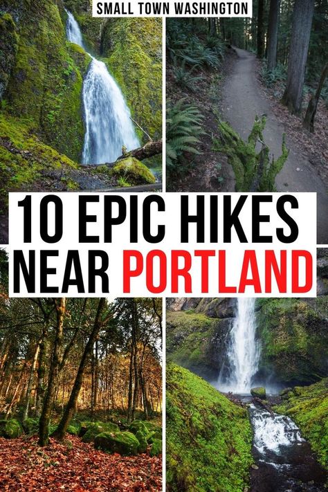 photos of different hikes near portland oregon: waterfalls and forests. text reads 10 epic hikes near portland. Hiking Near Portland Oregon, Small Town Washington, Portland Hikes, Oregon Hiking Trails, Oregon Hikes, Oregon Waterfalls, Travel Bucket List Usa, Waterfall Hikes, Usa Travel Guide