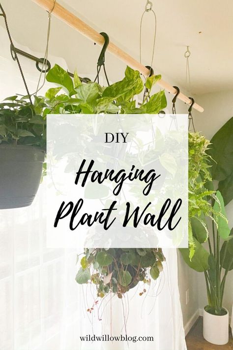 Hang Plants From Ceiling, Hanging Plant Ideas, Wall Hanging Plants, Plant Bar, Plant Wall Hanging, Wall Hanging Plant, Indoor Plant Wall, Beautiful Wall Hanging, Hanging Plant Wall