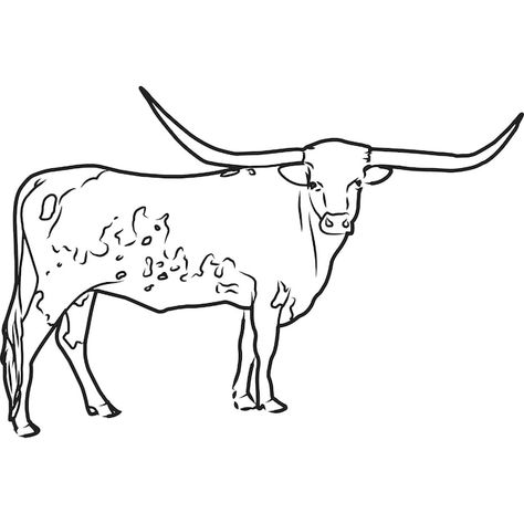 Hand sketched hand drawn texas longhorn ... | Premium Vector #Freepik #vector #cattle #cow-farm #ranch #cattle-farm Longhorn Cow Tattoo, Long Horn Drawing, Longhorn Drawing, Texas Longhorn Cow, Cow Tattoo, Cow Coloring Pages, Cow Vector, Mexican Paintings, Leather Inspiration