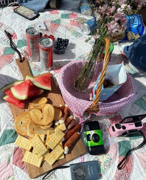 Saw this cute picnic idea on Erika's Instagram ⁃ gotta recreate it this summer! @erika_diane Erika Diane, Cute Picnic, Sunny Garden, Friends Food, Garden Park, Picnic Basket, Ducks, Shout Out, This Summer