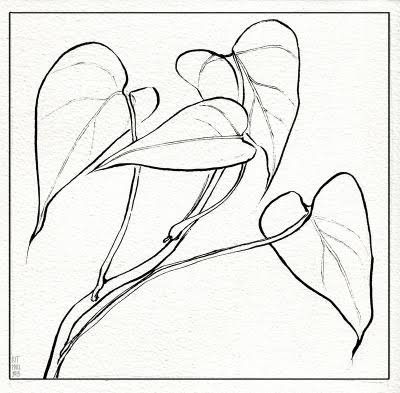 Pothos Plant Line Drawing, Small Pothos Tattoo, House Plant Sketch, Pothos Plant Tattoo Simple, Arrowhead Plant Tattoo, Pothos Plant Drawing, Devils Ivy Tattoo, Pothos Drawing, Philodendron Drawing